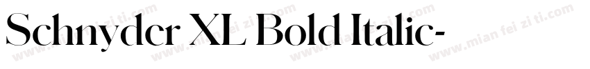 Schnyder XL Bold Italic字体转换